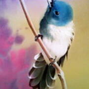 Curious Birdie On Branch Art Print
