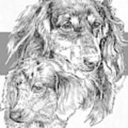 Dachshund - Long-hair And Pup Art Print