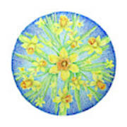 Daffodil Mandala Art Print