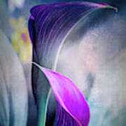 Dark Textured Lilies Art Print