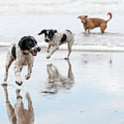 Day At The Beach Art Print