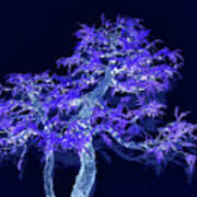 Deep Purple Bonsai Tree Art Print