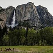 Deer In Front Of Upper Yosemite Falls Art Print