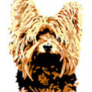Dog 147 Yorkshire Art Print