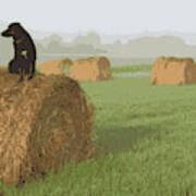 Dog On Hay Bale Art Print