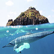 Dolphin And Plastic Bag Art Print