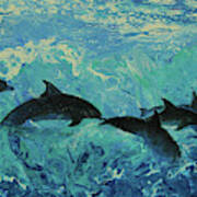 Dolphins Surf Art Print