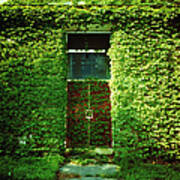 Doors Covered By Ivy Art Print