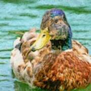 Duck Swimming In Lake Hopper Art Print