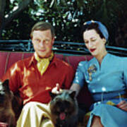 Duke And Duchess Of Windsor With Dogs Art Print