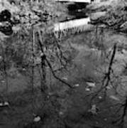 Dunning Creek Fall Bridge Reflections Black And White Art Print