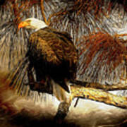 Eagle Painterly Art Print