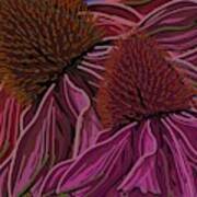 Echinacea Flower Blues Art Print