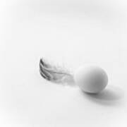 Egg With Feather Art Print