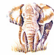 Elephant Art Print