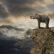 Elephant On The Edge Of A Cliff Art Print