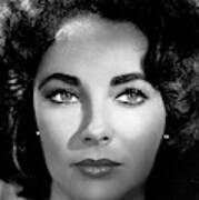 Elizabeth Taylor Art Print