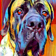 English Mastiff 2 Art Print
