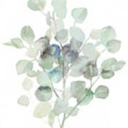 Eucalyptus Iii Cool Art Print