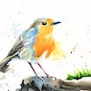 European Robin Art Print