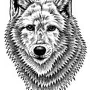 European Wolf - Ink Illustration Art Print