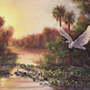 Everglades Sunset Art Print