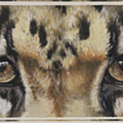 Eye-catching Clouded Leopard Art Print