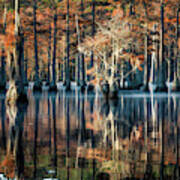 Fall At Cypress Lake Art Print