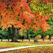 Fall In The Park Art Print