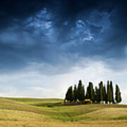 Famous Cypress Trees Of Tuscany With Art Print