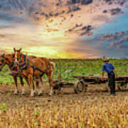 Farmer With His Horses Art Print