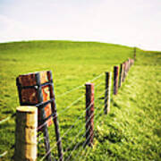 Fences At Cliffs Of Moher Art Print