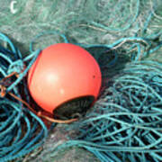 Fishing Net Buoy by Daniel Sambraus/science Photo Library