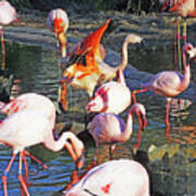 Flamingo 11   The Pat Art Print