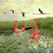 Flamingos Of Florida Art Print