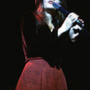 Fleetwood Mac In Concert Art Print