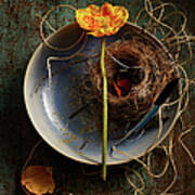 Flower And Nest -elements Of Spring Art Print