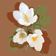 Flower Blossom Six Art Print