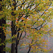 Foggy Autumn Morning Art Print