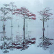 Foggy Morning On Cypress Lake Art Print