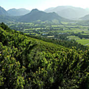 Franschhoek Valley Art Print