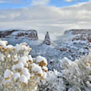 Fresh Snow At Independence Canyon Art Print