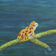Froggy Art Print