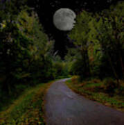 Full Moon Over Forest Trail Art Print