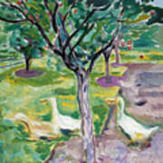 Geese In An Orchard Art Print