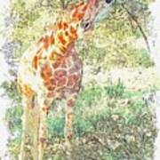 Giraffe 6 Watercolor By Ahmet Asar Art Print
