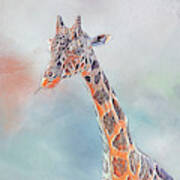 Giraffe Munching Art Print