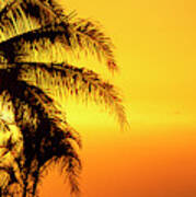 Golden Hawaiian Sunset Art Print