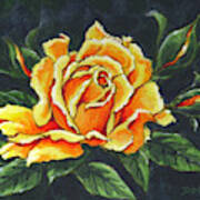 Golden Rose Sketch Art Print