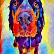 Gordon Setter Art Print